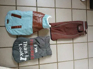 Hundefrakker