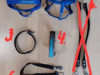 Hundeseler/halsbånd forskellige slags