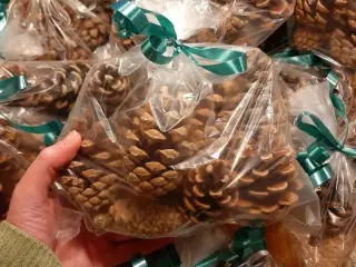 Jule-dekorations-kogler