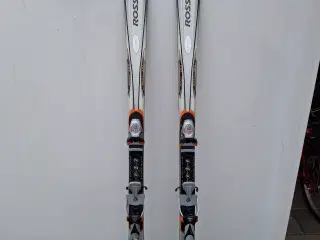 Rossignol alpinski