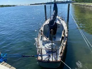  Robust Havkrydser 