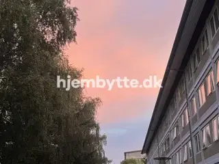 Hjembytte - ValhøjsAlle