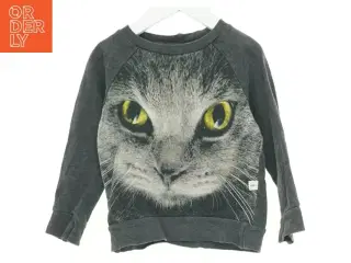Sweatshirt med kattemotiv fra Molo (str. 98 cm)