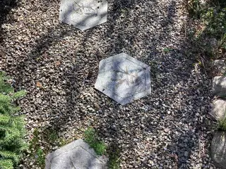 Granit trædesten med tegn de fire årstider