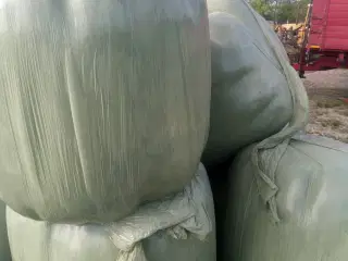  Prima Wraphø