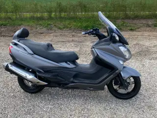 Susuki Burgmann AN650