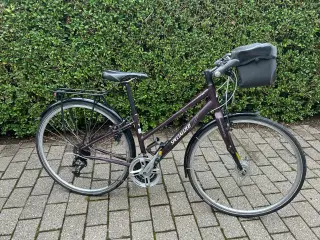 Damecykel. Stel 51,5 cm. Velholdt.