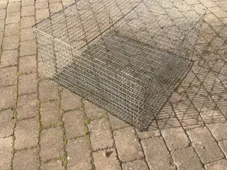 Kaninbur