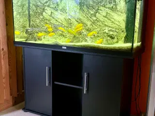 Akvarie 230 liter inkl. alt