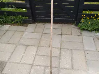 Hørive