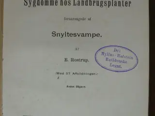 sygdomme hos landbrugsplanter foraarsagede af snyl