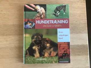 Hundetræning - Få en velopdragen hund