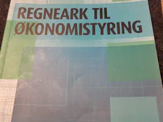 Regneark til økonomistyring 