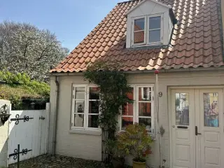 I hjertet af T�nder by