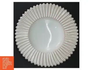 Fladt porcelæns fad (str. 22,5 cm)