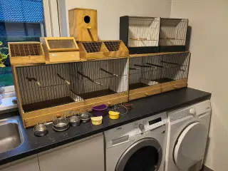 Udstillingen og transport kasse 