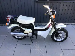 Suzuki fz 50