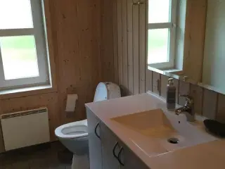 Feriehus i f�rste klitr�kke