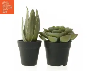 Dekorative kunstige planter i sorte potter fra IKEA (str. 12 cm og 19 cm)