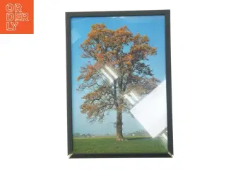 Billedramme med træmotiv (str. 29,8x42 cm)