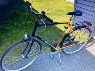 Herre cykel