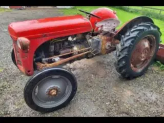 Ferguson 26
