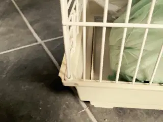 Fuglebur til parkit 