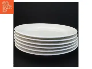 Hvide porcelænstallerkener (str. Diameter 26 cm)