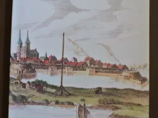den hellige stad wittenberg - danmark og lutherbye