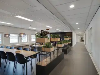 Nyistandsatte faciliteter i det attraktive Lautrupparken