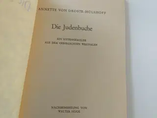 Die Judenbuche - ein Sittengemälde aus dem Gebirgi