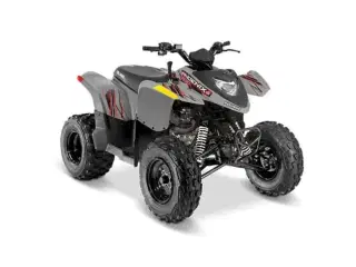 Polaris PHOENIX 200