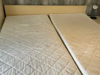 Elevationsseng