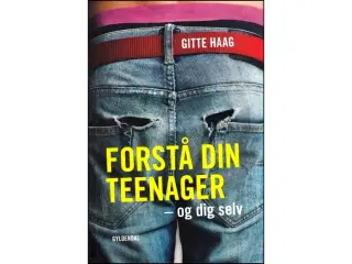 Forstå din Teenager - og dig selv