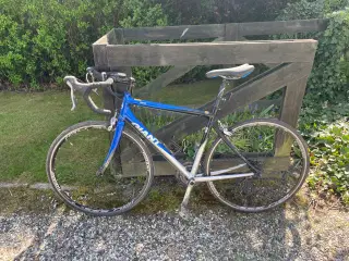 Racercykel Giant