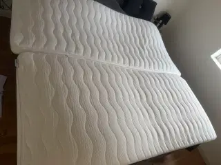 2 stk topmadrasser Gold T80 latex