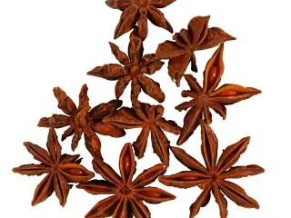 Ægte Anisstjerner - 10 stk. Naturlig Dekoration