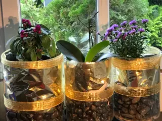 Store unikke glas potter 