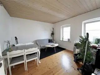 Hyggelig 2-værelses lejlighed i hjertet af Aalborg centrum