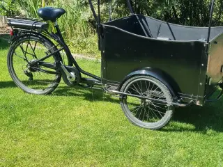 el amlad cykel