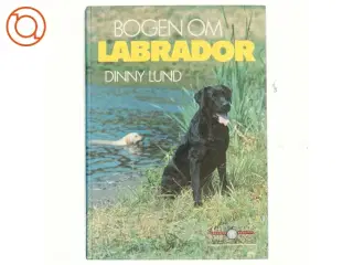 Bogen om Labrador af Dinny Lund