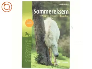 Sommereksem : forebyggelse, forståelse, behandling af Anke Rüsbüldt (Bog)