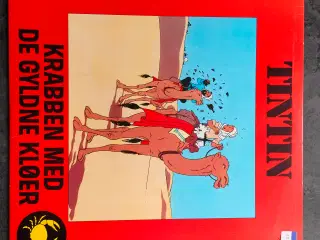 Tintin LP