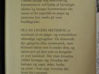 fra en jægers skitsebog - på jagt med blyant og , 