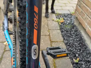 Cykel 