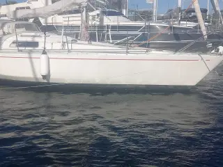 Albin Scampi 30
