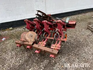 Radrenser Kongskilde