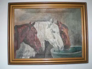 Heste billede