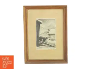 Billedramme med billede fra Ukendt (str. LB: 37x27,5cm)