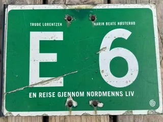 E6 – En reise gjennom Nordmenns liv